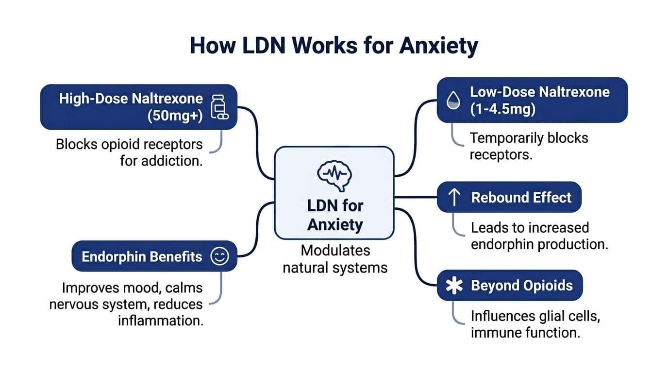 A diagram explaining how Low-Dose Naltrexone modulates natural systems to potentially help manage symptoms of anxiety.