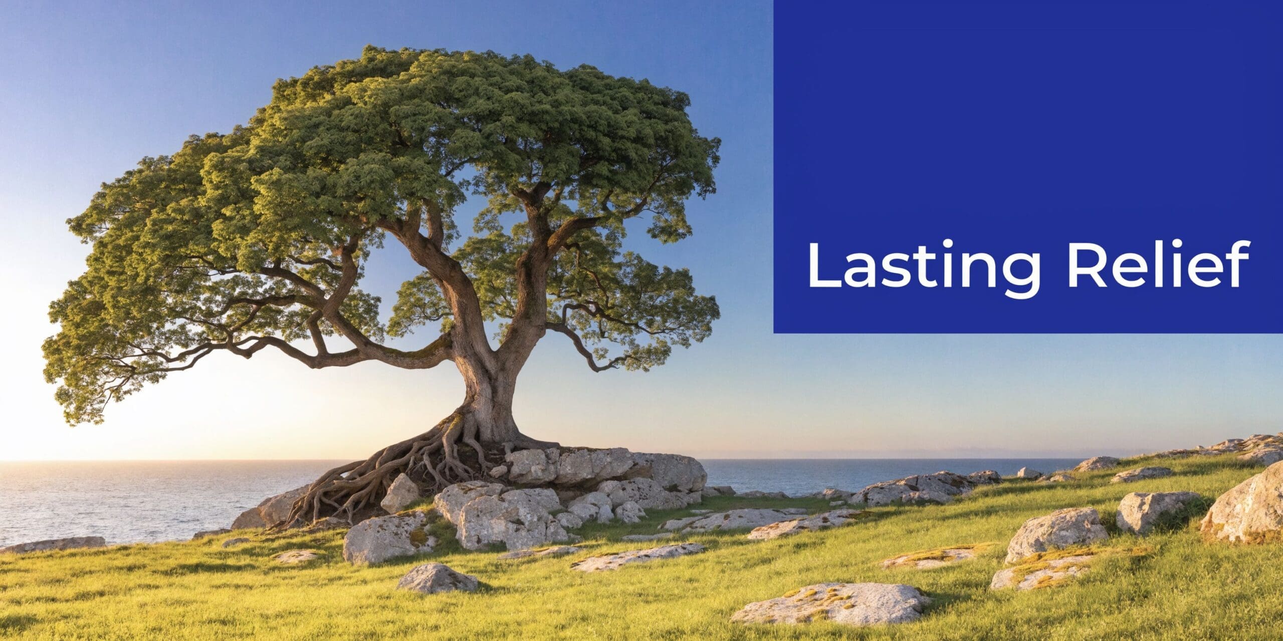 A solitary majestic tree standing on a rocky cliff overlooking a serene ocean at sunrise.