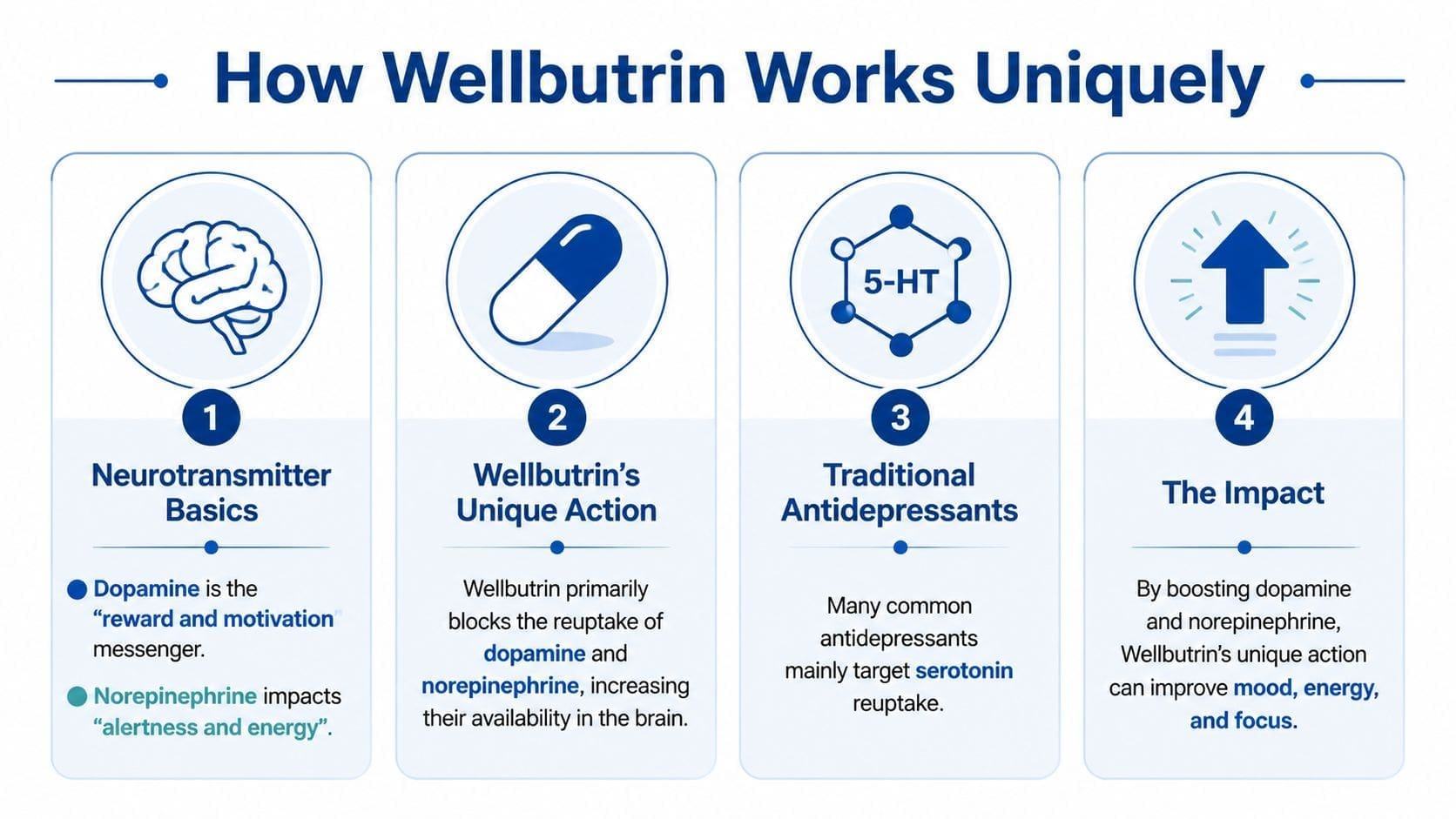 An infographic illustrating how Wellbutrin works by increasing dopamine and norepinephrine levels in the brain.