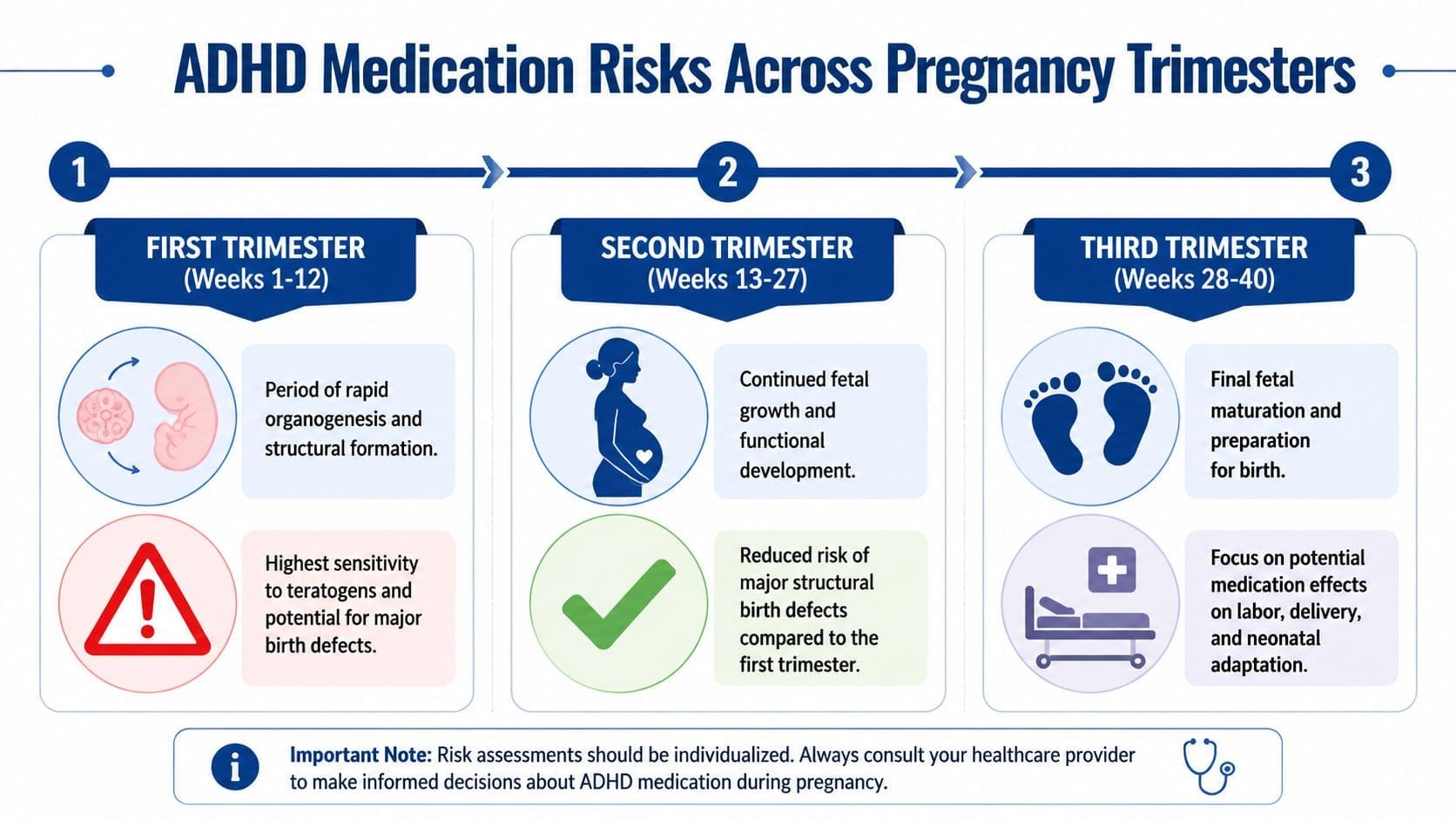 An infographic detailing potential risks and considerations of ADHD medication use across the three pregnancy trimesters.